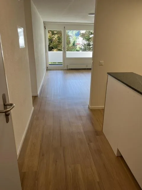 Frisch sanierte 2.5-Zimmer-Wohnung