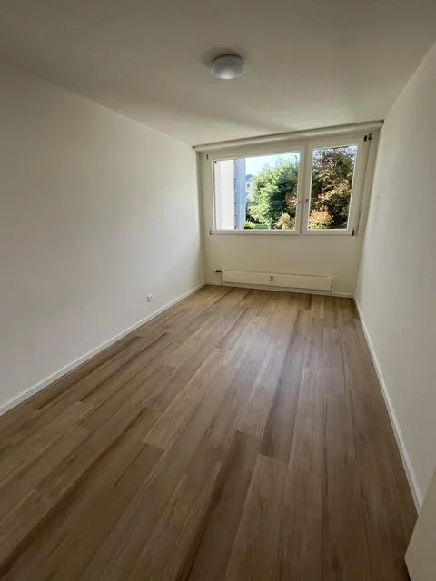 Frisch sanierte 2.5-Zimmer-Wohnung