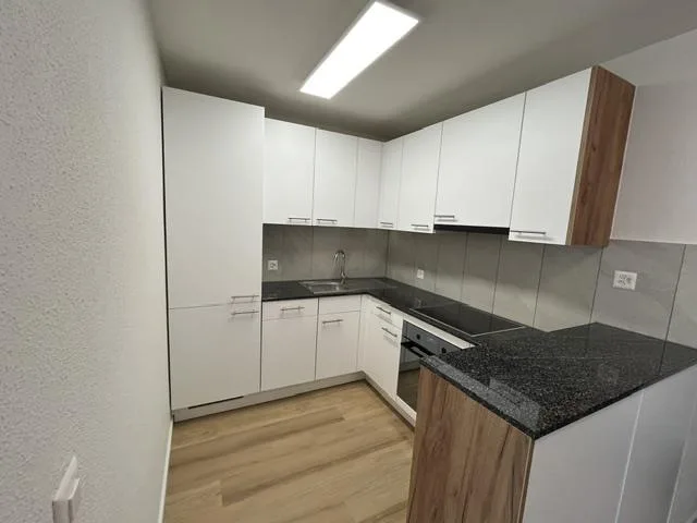 Frisch sanierte 2.5-Zimmer-Wohnung