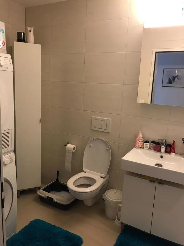 4.5 Zimmer Wohnung in Märstetten | UrbanHome