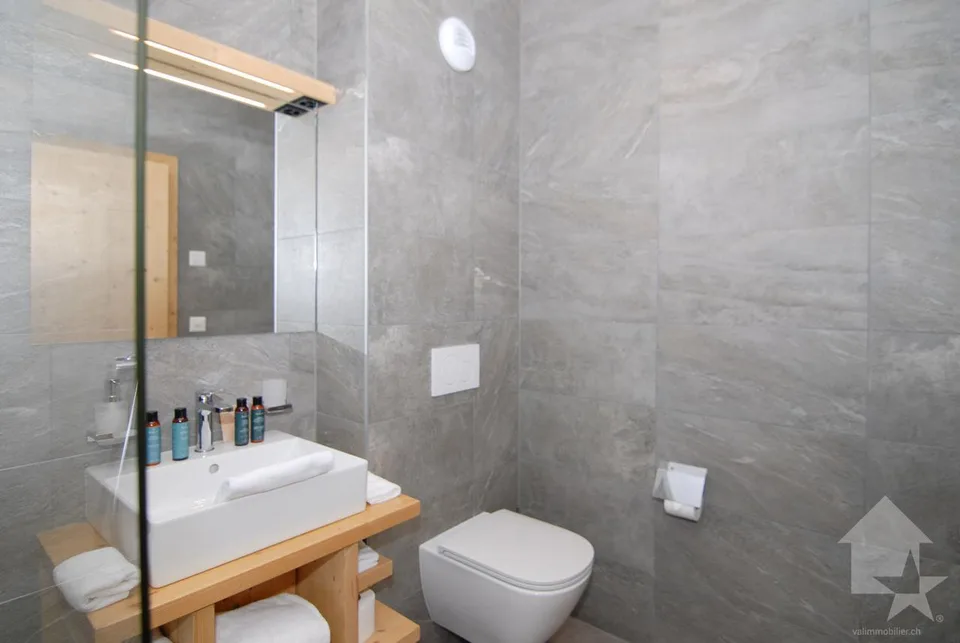 Belle opportunité dans le "Dent-Blanche Resort" d'Hérémence – Foto 14 von 22