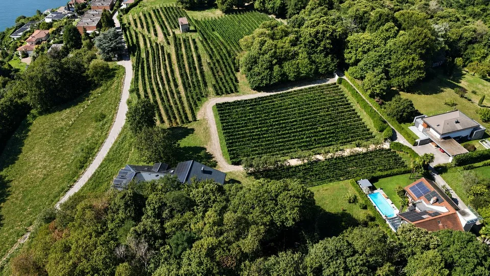 Esclusiva Villa Circondata dai Vigneti con Vista Aperta sul Lago – photo 6 sur 6