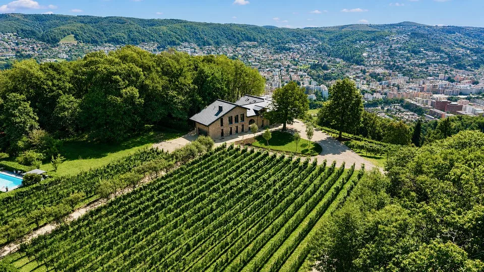 Esclusiva Villa Circondata dai Vigneti con Vista Aperta sul Lago – photo 2 sur 6