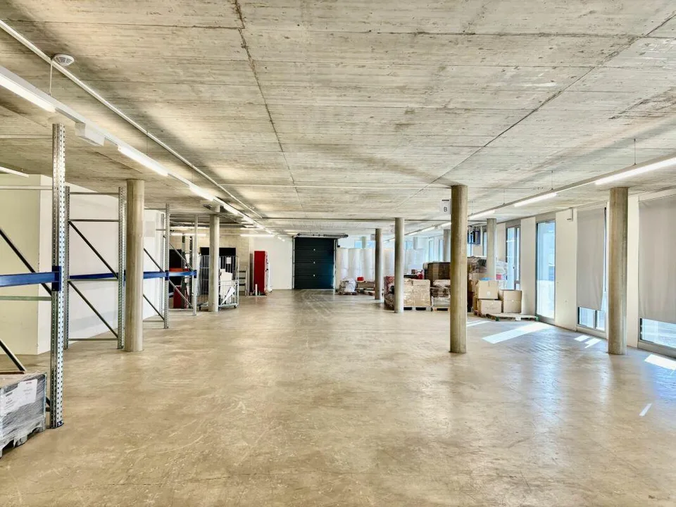 Vaud local, atelier, showroom, depot, stock au Mont-sur-Lausanne. – photo 7 sur 9