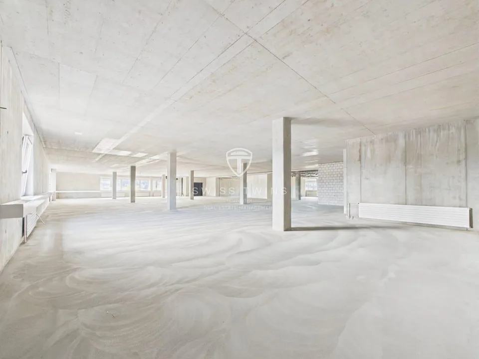 Neubau: flexible Gewerbe- & Büroflächen in Hochdorf mieten – foto 11 di 13