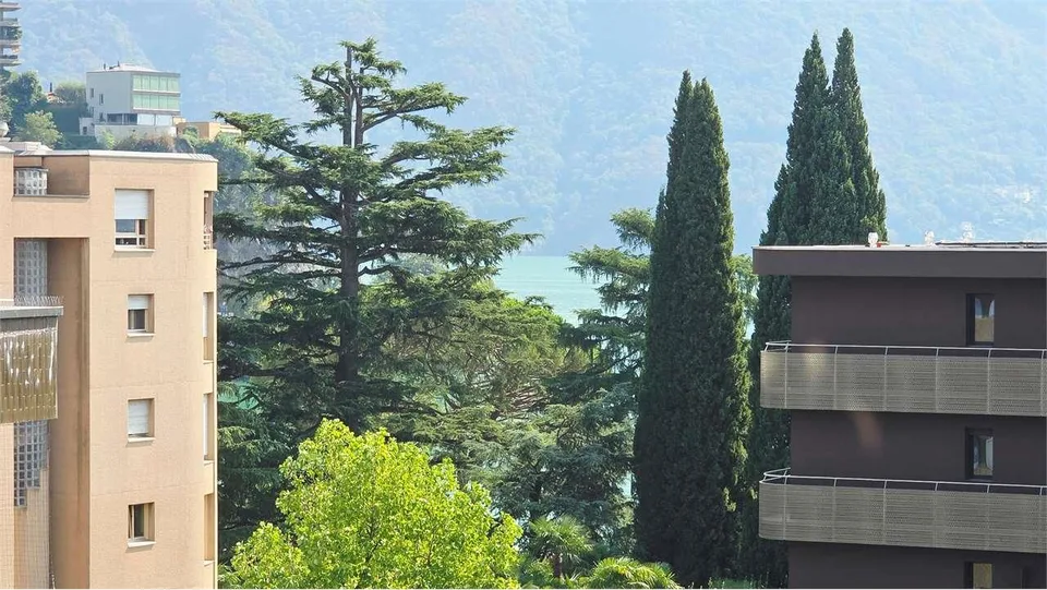 Lugano Cassarate: 3.5 Zimmer renoviert in der Lungolago-Zone – Foto 9 von 20
