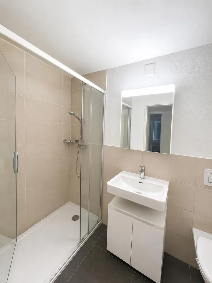 Appartement de 4,5 pièces lumineux à St. Gallen – photo 3 sur 10