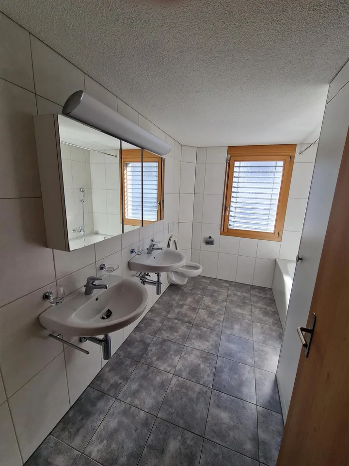 6.5 Zimmer Haus direkt über dem Vierwaldstättersee
