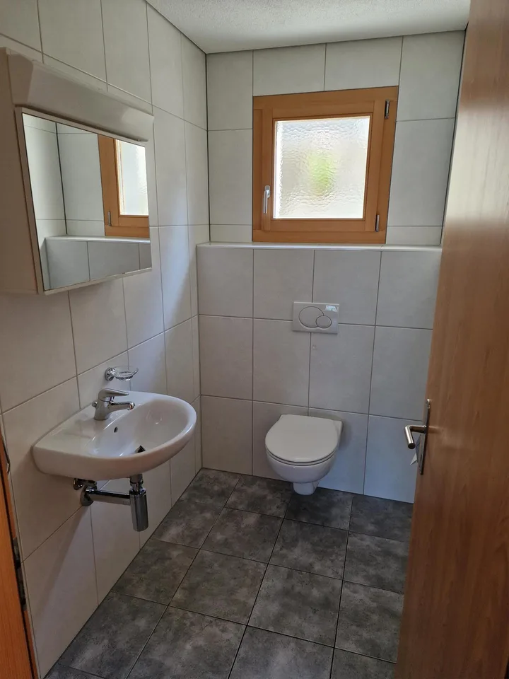 6.5 Zimmer Haus direkt über dem Vierwaldstättersee