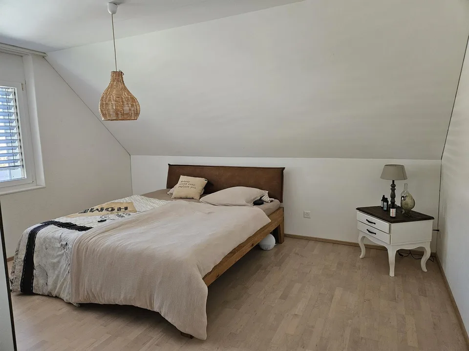 Zentrumsnahe 4.5 Zimmer-Attikawohnung