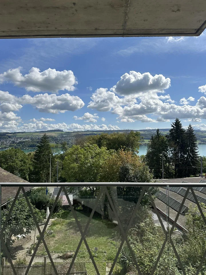 Moderne 2.5-Zimmer-Wohnung mit Panoramablick auf See und Berge