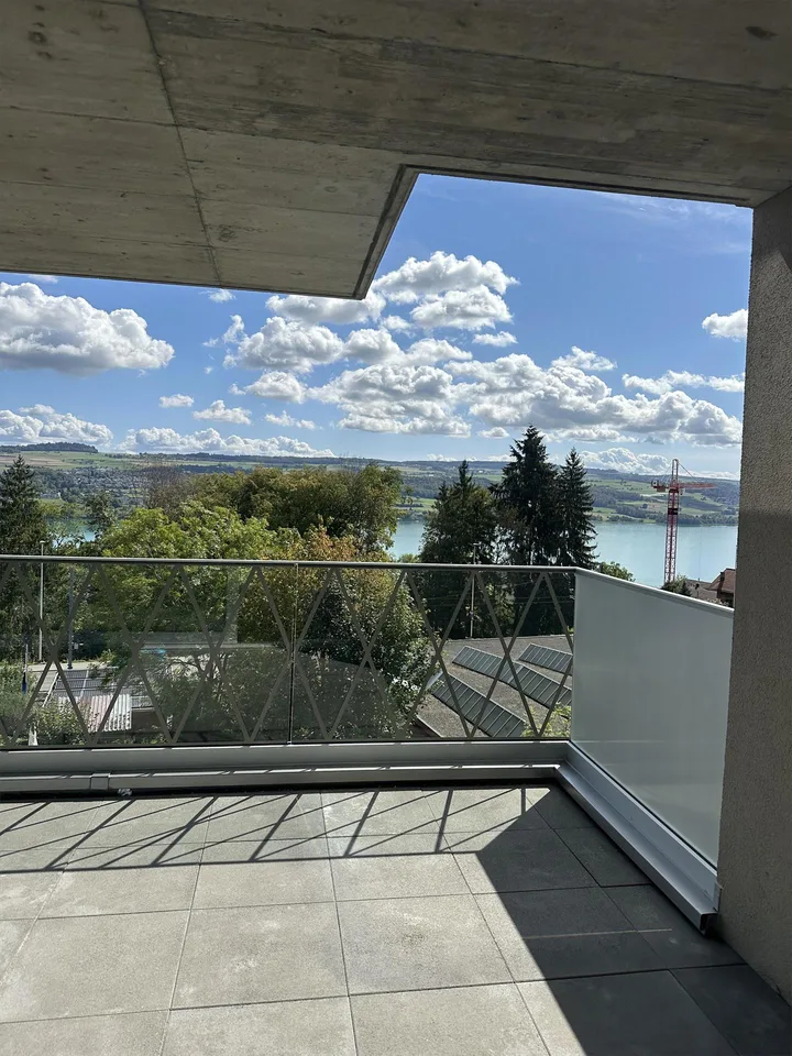 Moderne 2.5-Zimmer-Wohnung mit Panoramablick auf See und Berge