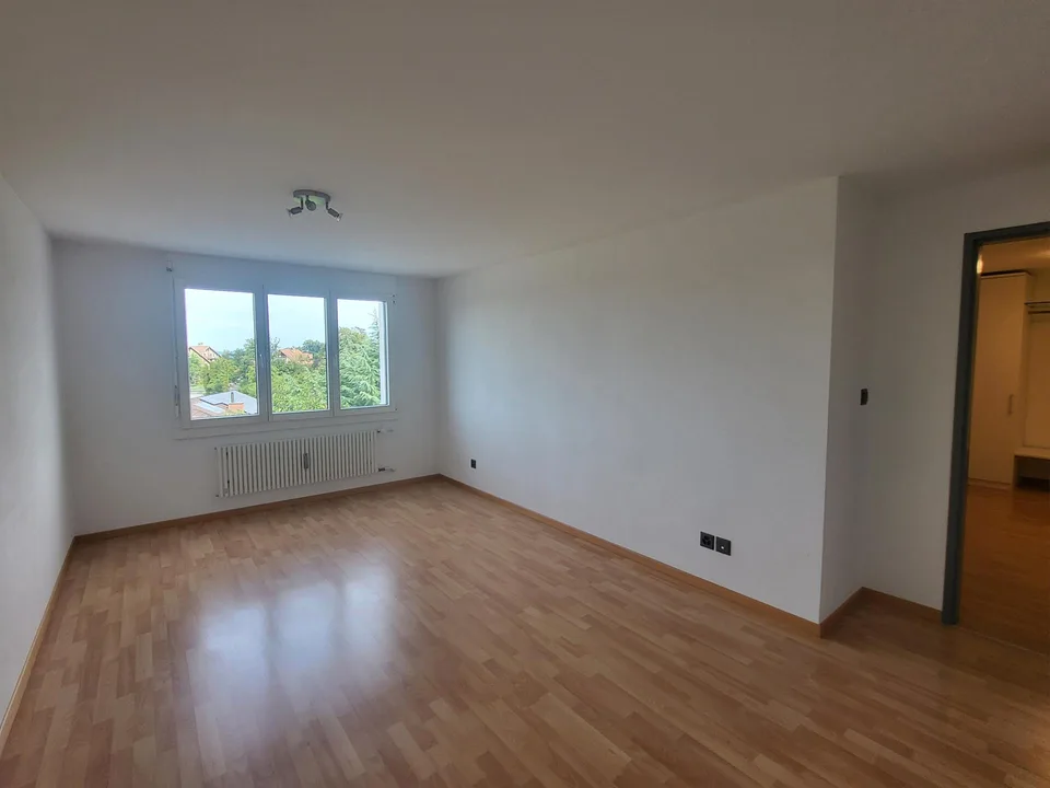 Grosszügige und helle Wohnung