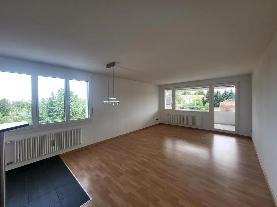 Grosszügige und helle Wohnung