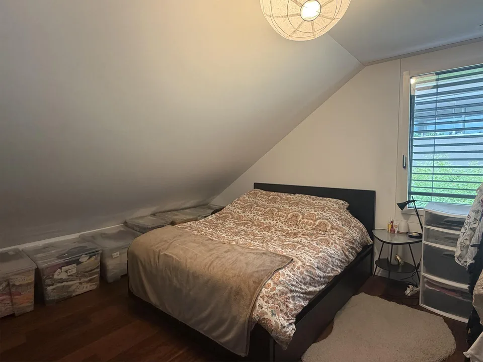 Traumhafte 4.5-Zimmer-Dachwohnung mit See- und Bergsicht
