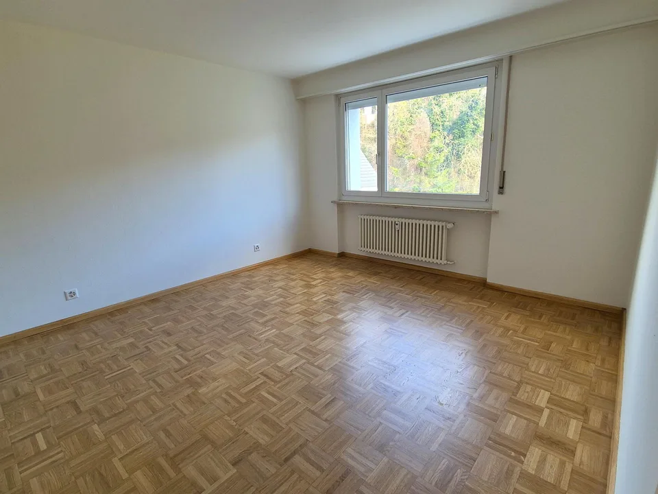 Quiet apartment with a far-reaching view over Dornach – photo 4 of 7