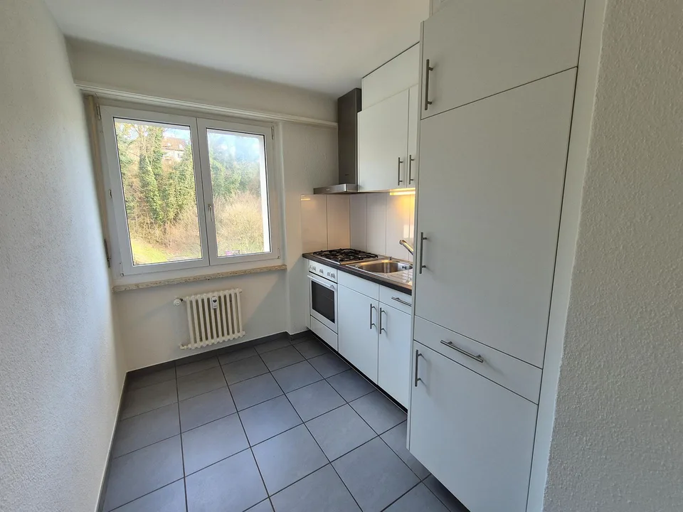 Quiet apartment with a far-reaching view over Dornach – photo 3 of 7
