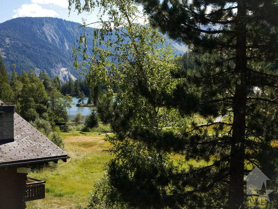 Magnifique appartement au centre de Champex-Lac avec grand balcon – Foto 19 von 20