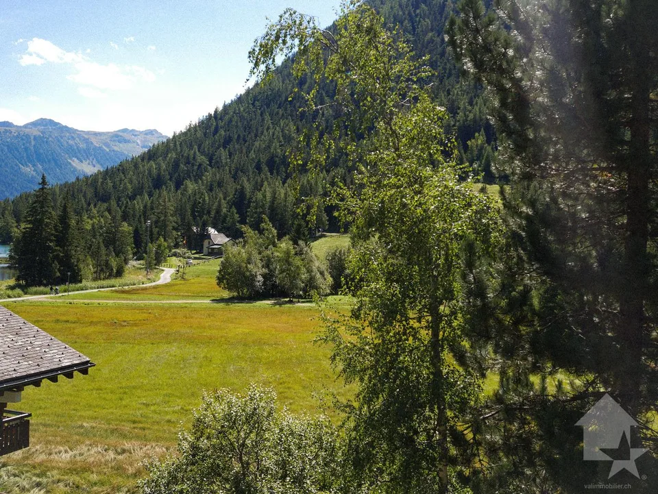 Magnifique appartement au centre de Champex-Lac avec grand balcon – Foto 14 von 20