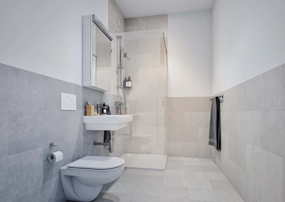 Appartement recherche célibataires – photo 4 sur 4