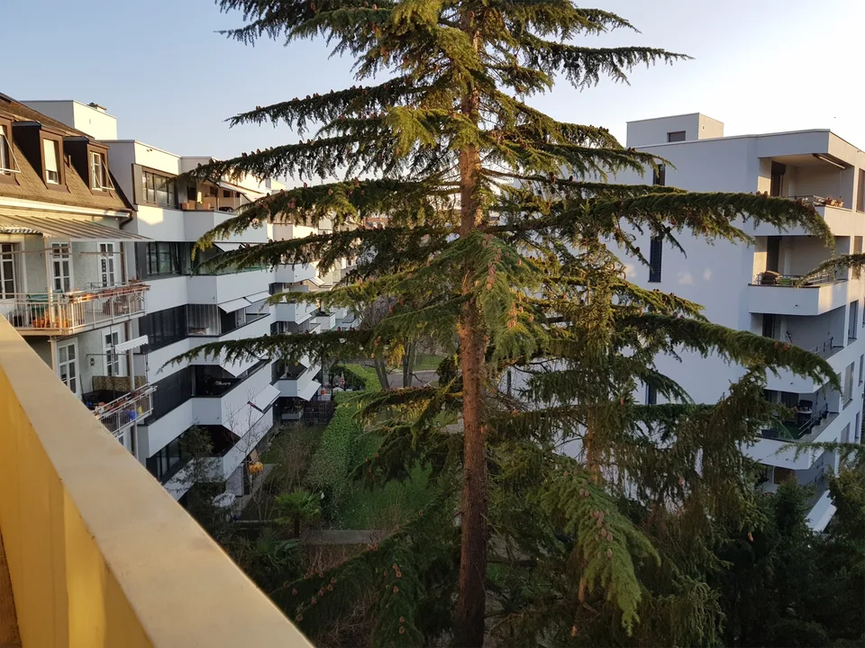Appartamento 3 locali in posizione centrale, vicino alla stazione e a Migros Dreispitz – foto 9 di 17