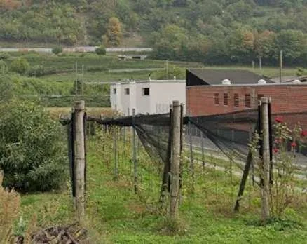 Riva San Vitale casa contemporanea tra lago e montagne in posizione tr – foto 7 di 13