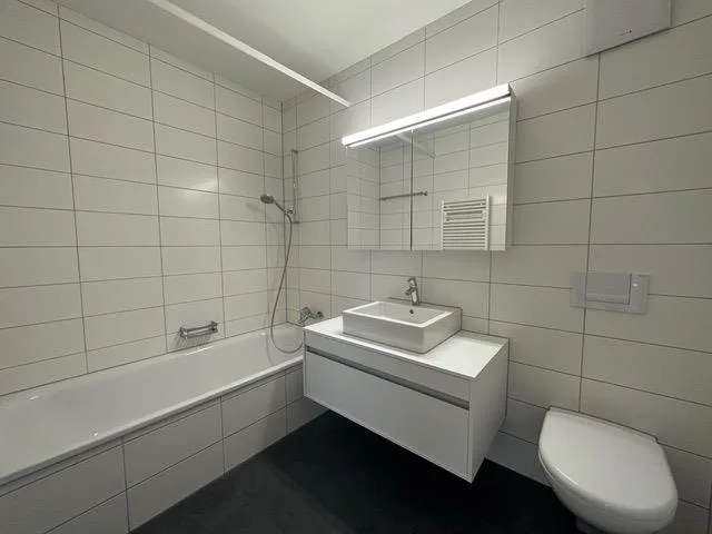 Modernes Attikawohnen – grosszügig, zentral und nah zur Badi – photo 7 sur 13