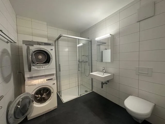 Modernes Attikawohnen – grosszügig, zentral und nah zur Badi – photo 8 sur 13