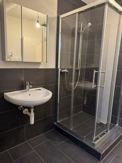 Charmante 1.5 Zimmerwohnung für Singles