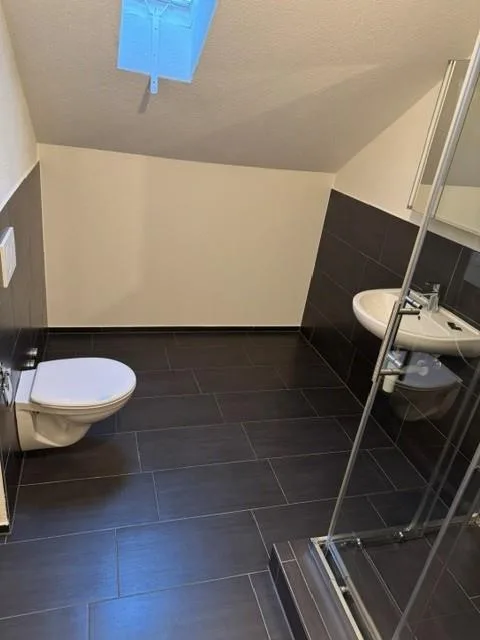 Charmante 1.5 Zimmerwohnung für Singles
