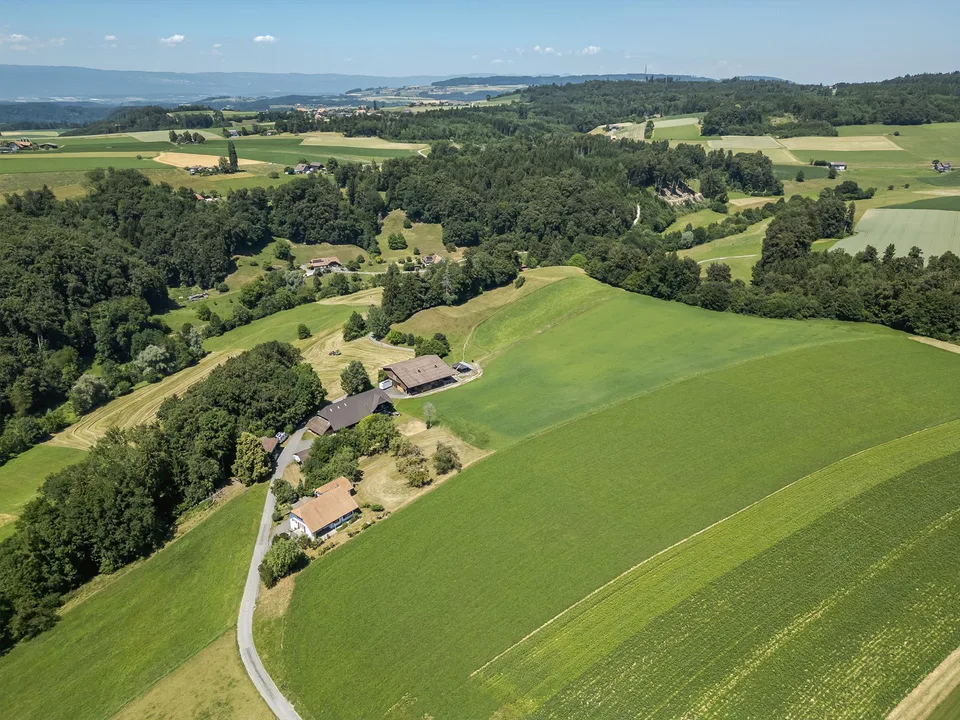 "Kleiner Landwirtschaftsbetrieb mit diversen Gebäuden - Rosshäusern" – Foto 8 von 13