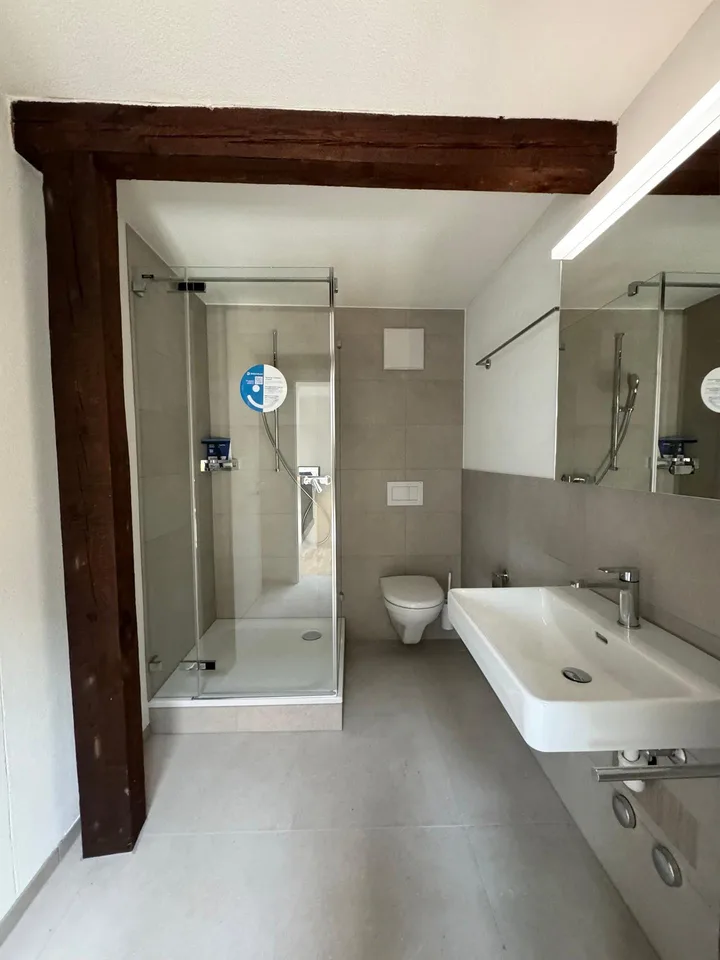 Charmante 1.5-Zimmer-Dachwohnung im Loft-Stil in St. Gallen – Foto 6 von 8