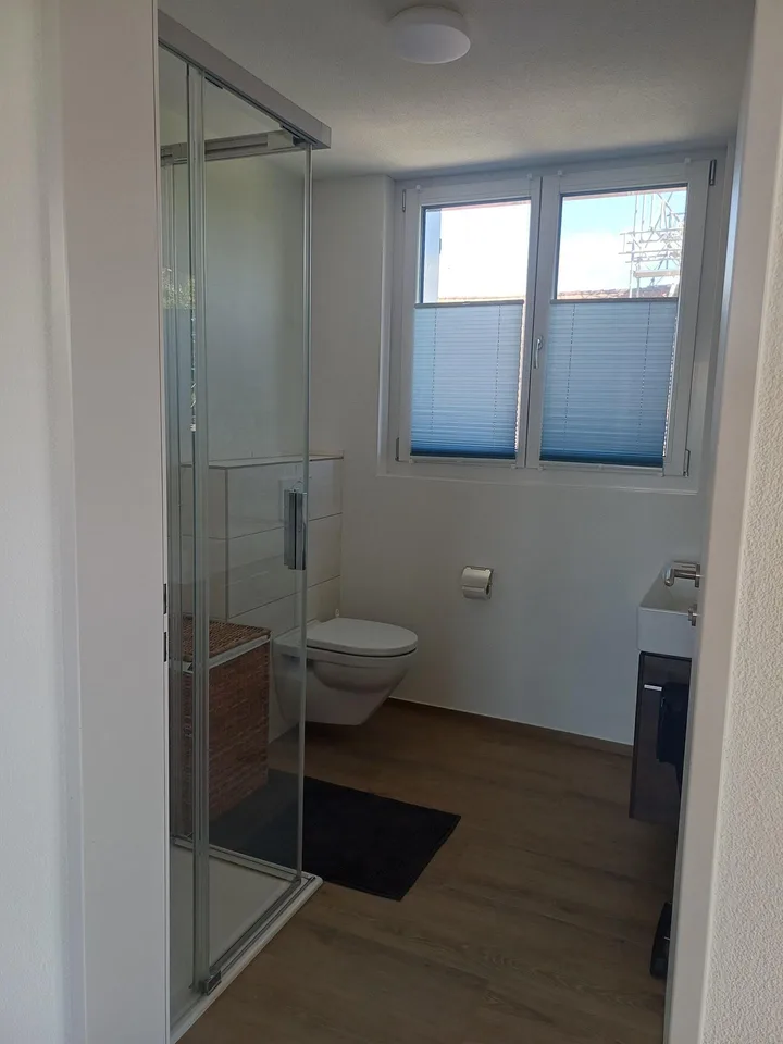 Dachwohnung 3.5