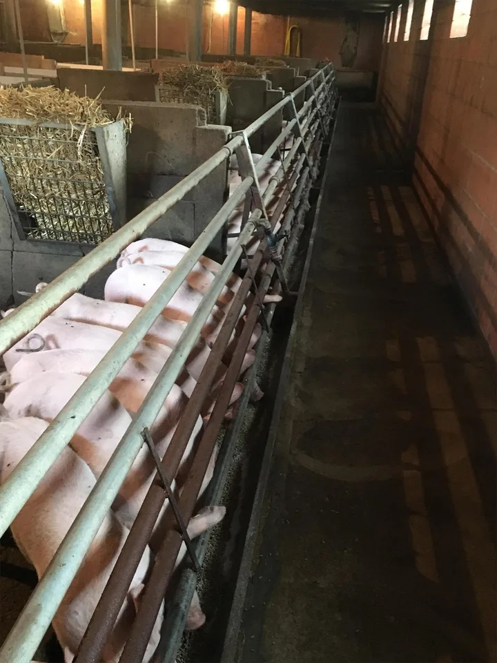 Wohnhaus und landwirtschaftliches Ökonomiegebäude – foto 8 di 12