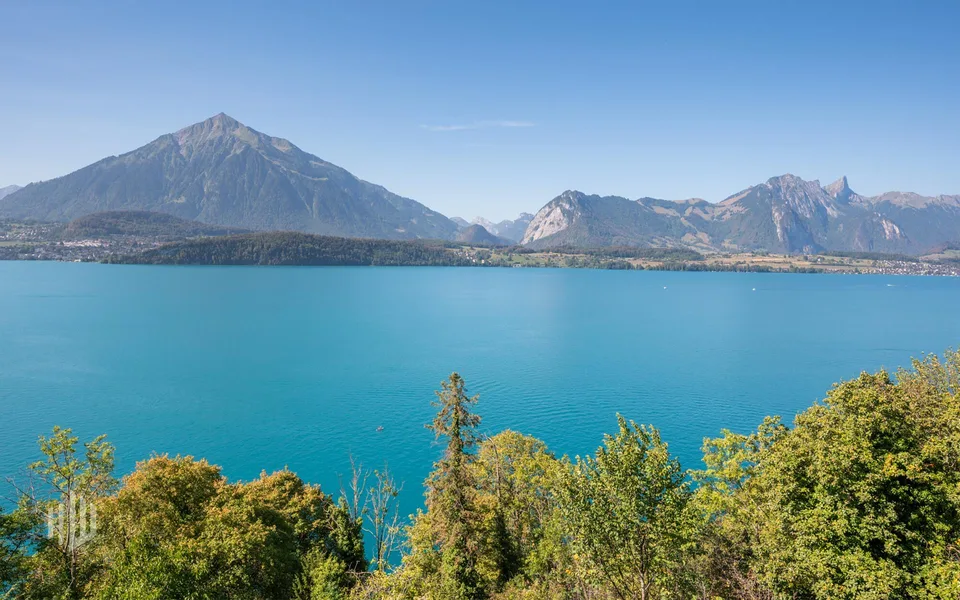 ImmoWyss - Wohnen über dem Thunersee mit traumhafter Panoramasicht – Foto 2 von 8