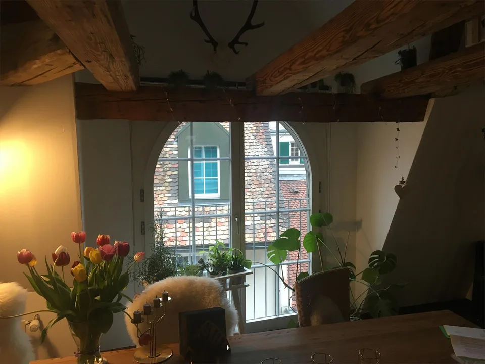 Loft Appartment mit Gallerie