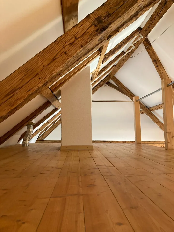 Loft Appartment mit Gallerie