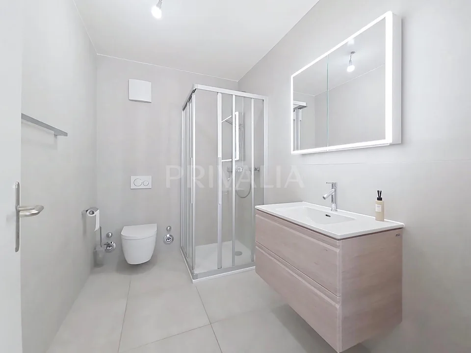 Bel attique de 121 m2 avec terrasse
