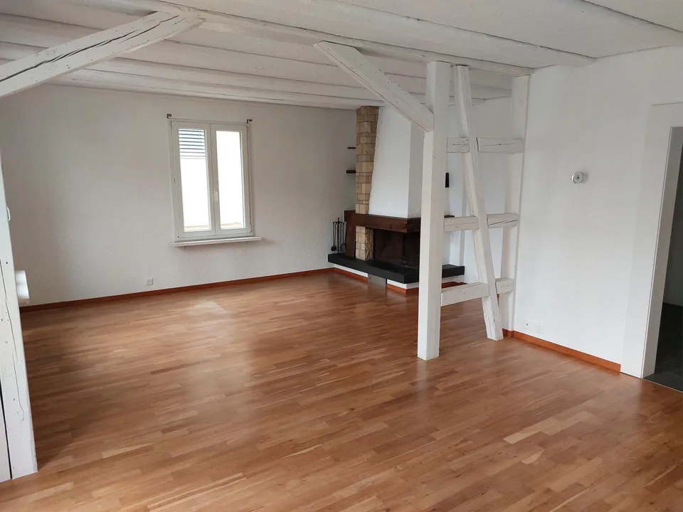 Geräumige 2.5 Zi.Wohnung mit charmantem Cheminée und grosser Terrasse