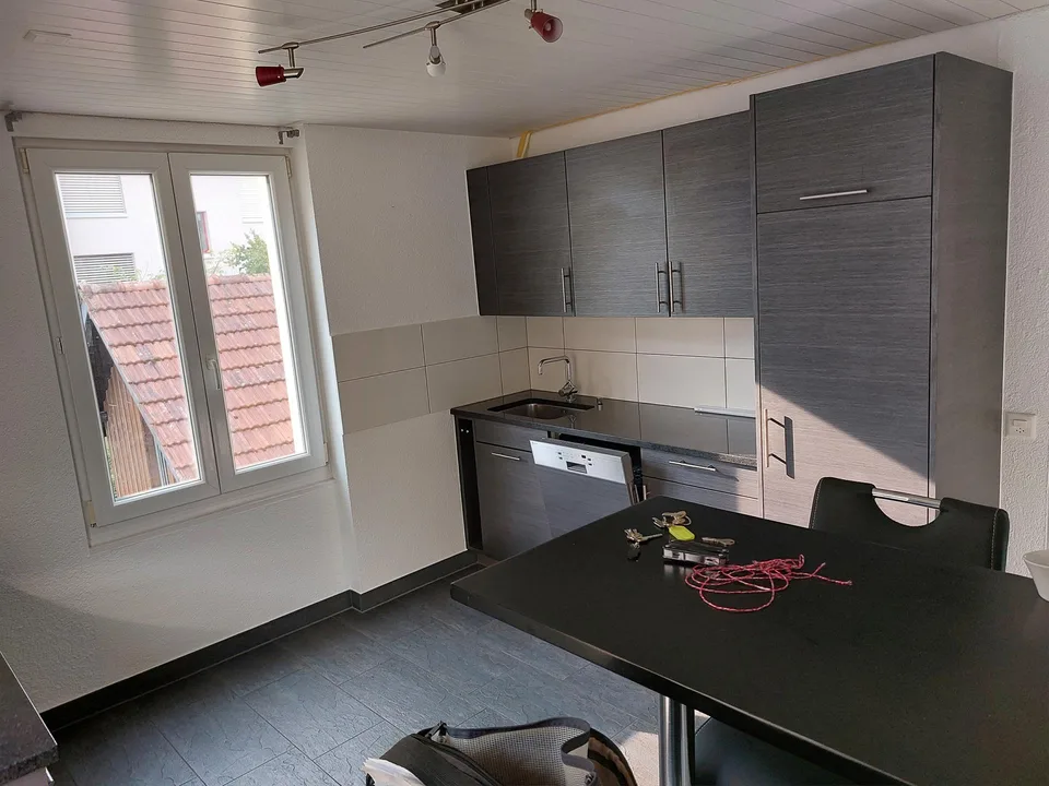 Geräumige 2.5 Zi.Wohnung mit charmantem Cheminée und grosser Terrasse