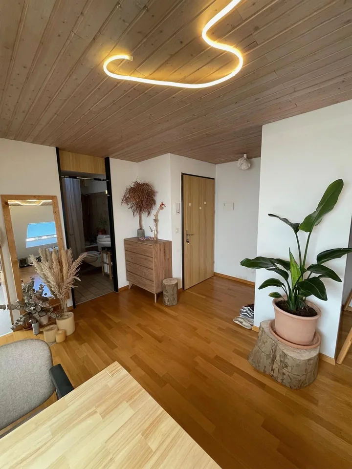 1.5 Zimmerwohnung in Luzern – Foto 2 von 7