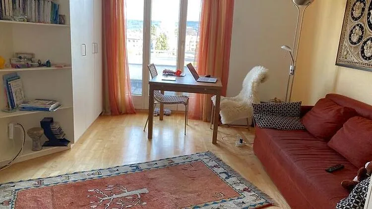 4½ ZIMMER-MAISONETTEWOHNUNG IN THALWIL (ZH), MÖBLIERT, TEMPORÄR – foto 16 di 24