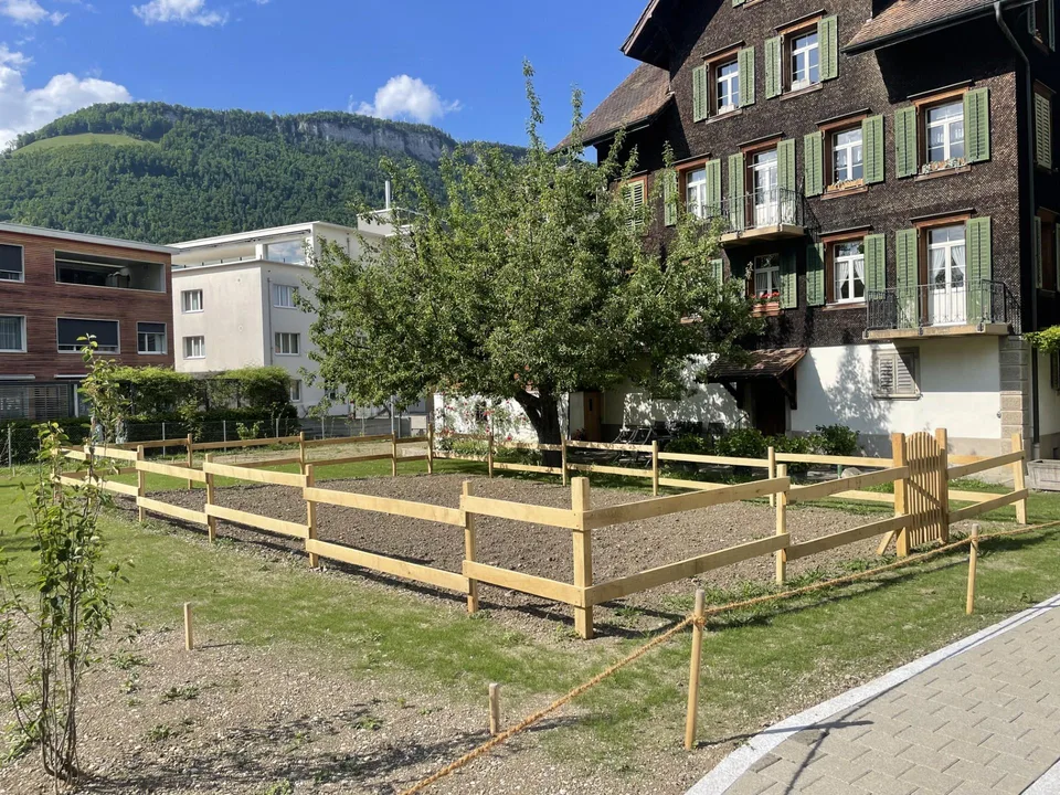 Wohnen im idyllischen Vollholzhaus