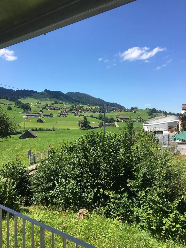 3 - Zimmerwohnung mit wunderschöner Aussicht in Neu St. Johann