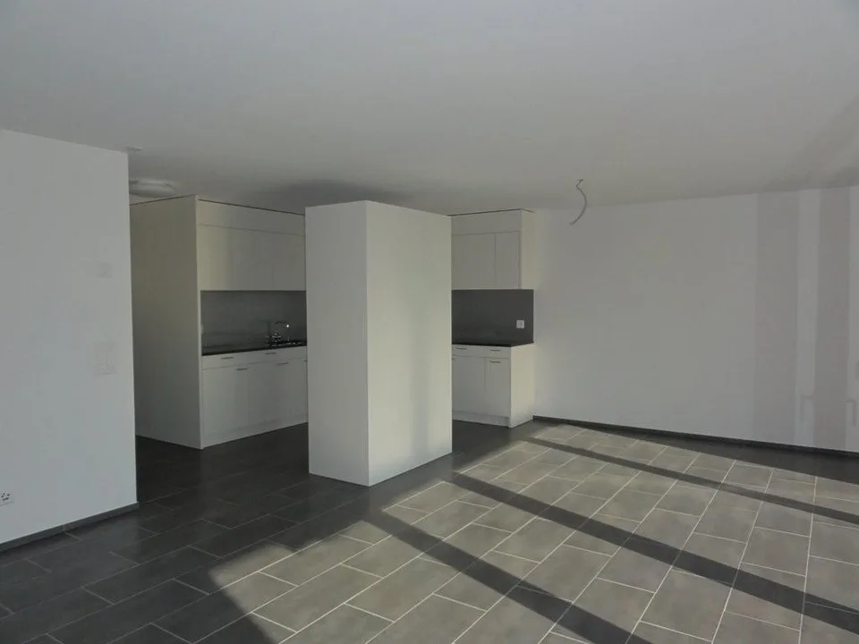 Superbe appartement à la recherche de locataires pour un avenir partagé ! – photo 3 sur 11