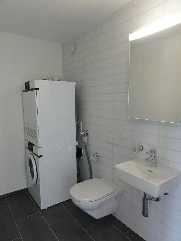 Superbe appartement à la recherche de locataires pour un avenir partagé ! – photo 8 sur 11