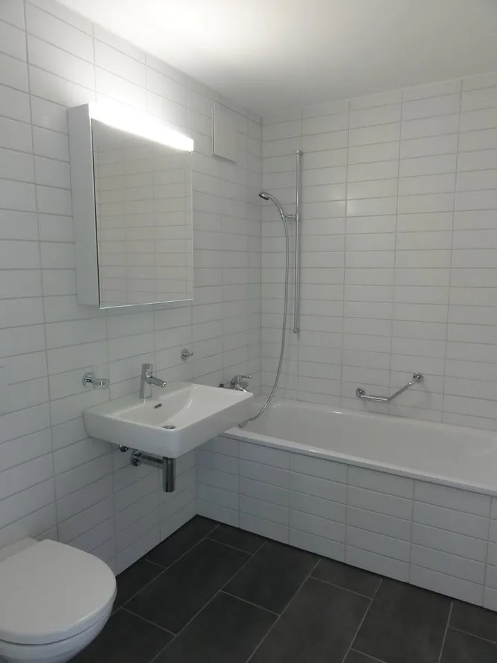 Superbe appartement à la recherche de locataires pour un avenir partagé ! – photo 7 sur 11
