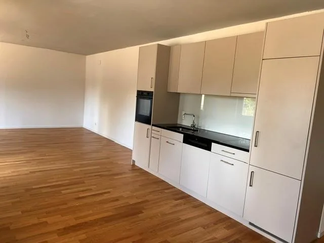 Modern and bright 1 bedroom apartment in the Hirzbrunnen quarter! – photo 3 of 6