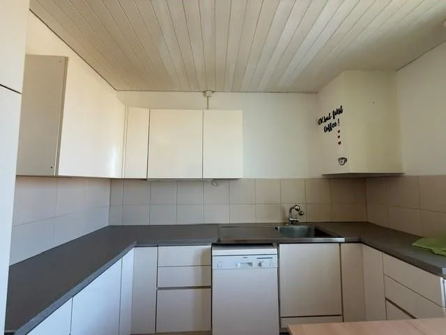 4.5 Zimmer Wohnung
