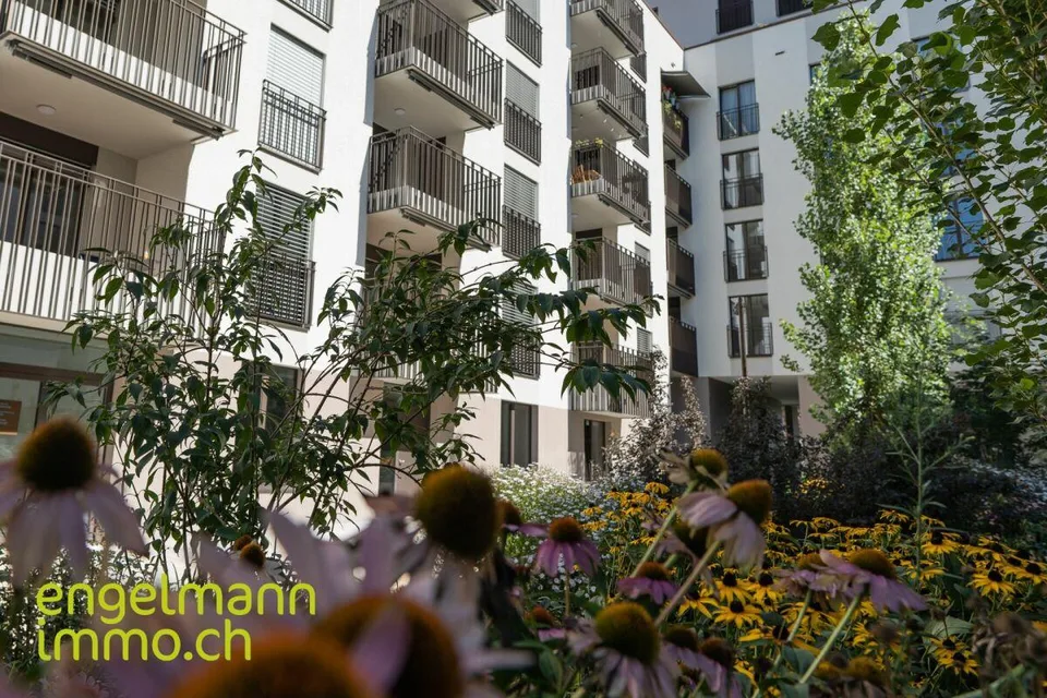 3.5 Zimmerwohnung / Appartement de 3.5 pièces – Foto 12 von 12